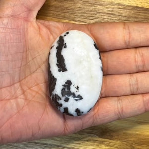 Zebra Jasper