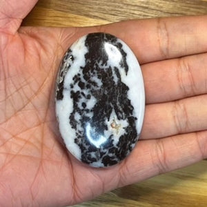 Zebra Jasper