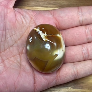 Orca Agate