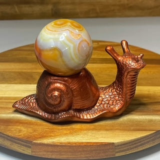 Snail Holder