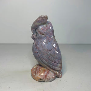 Pink Ocean Jasper Owl