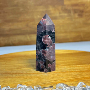 Garnet in Astrophylite