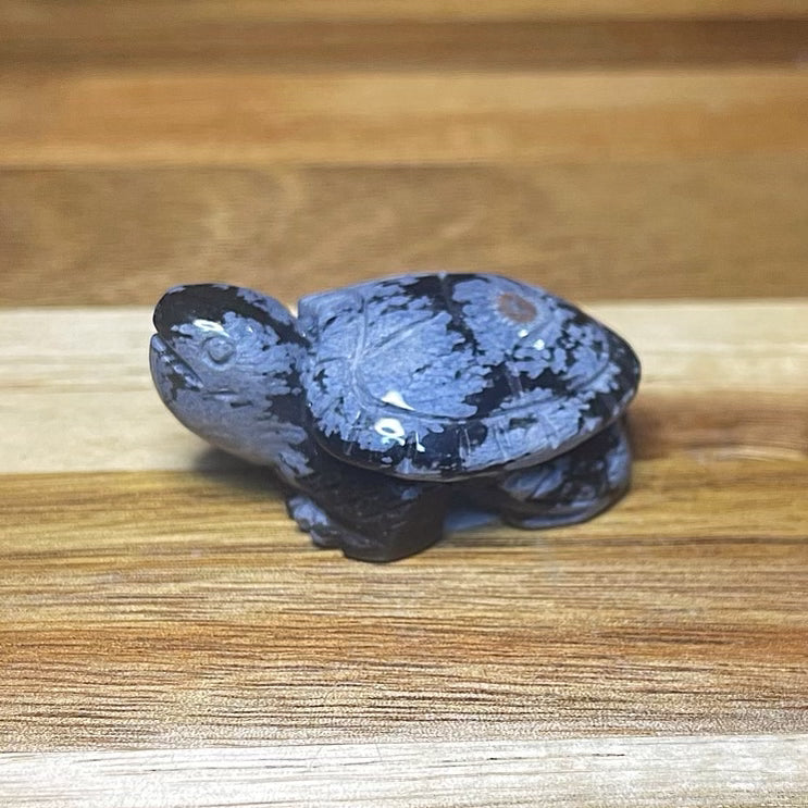 Snowflake Obsidian Turtle