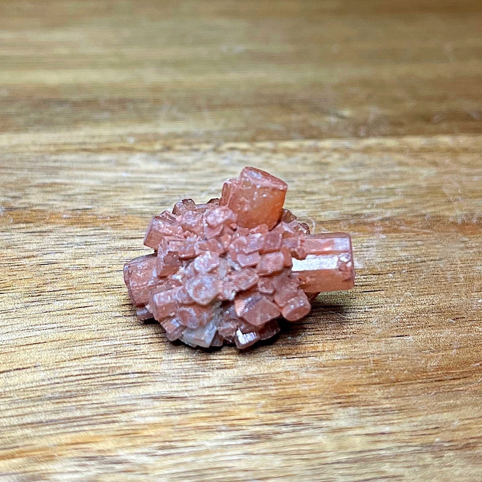 Aragonite Star Mini Cluster