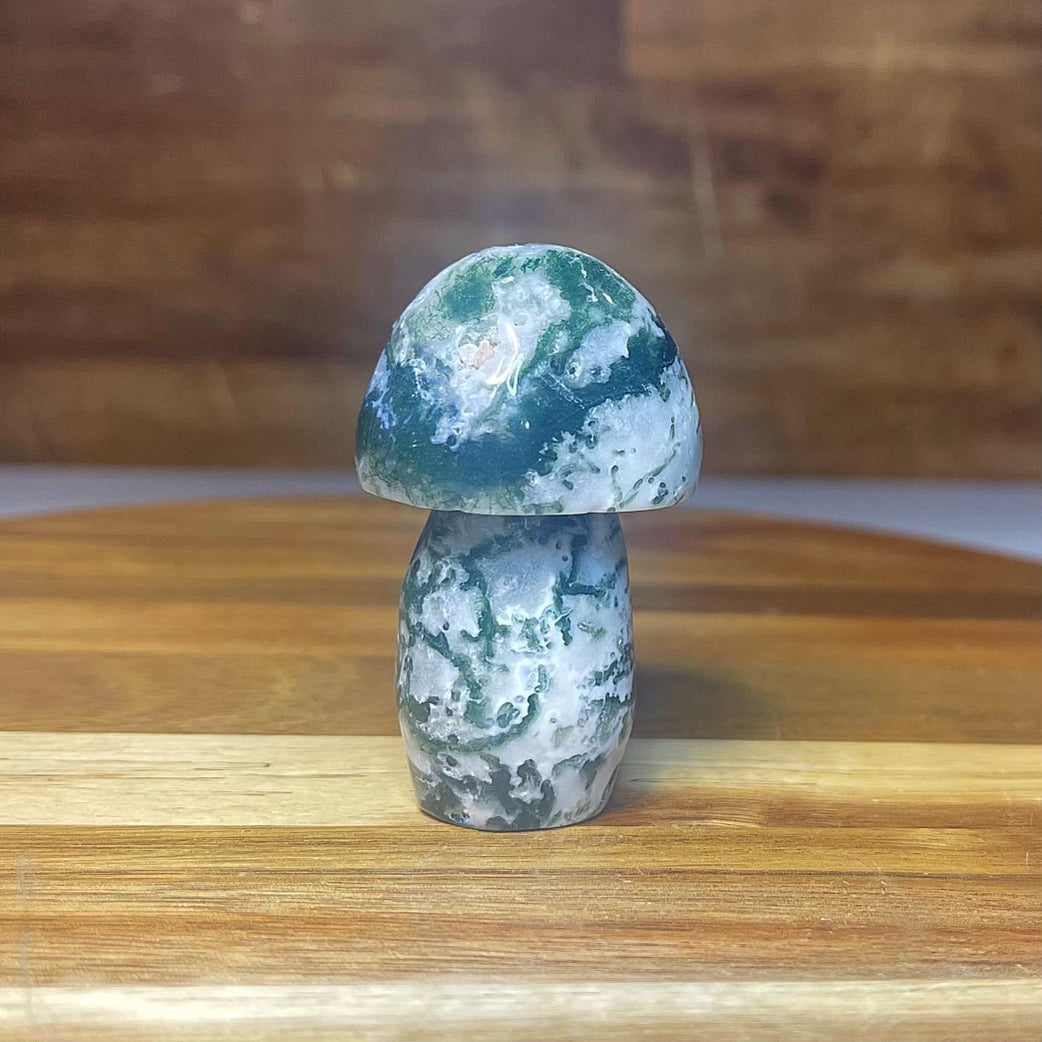 Moss Agate Mushroom