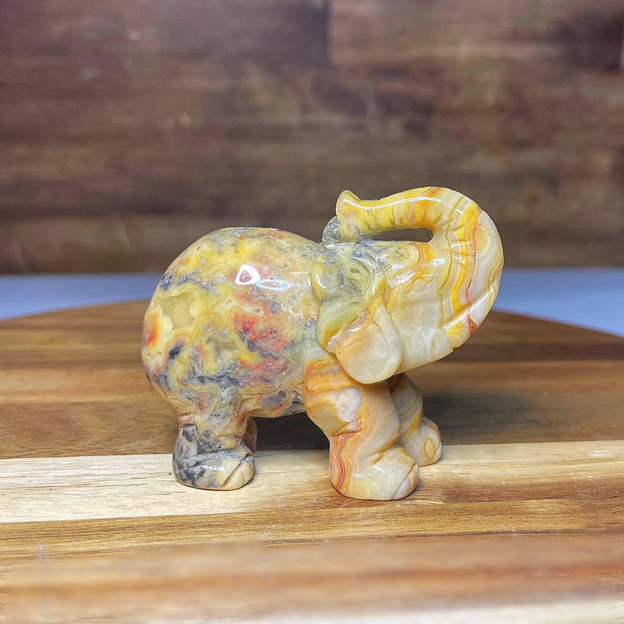 Crazy Lace Agate Elephant